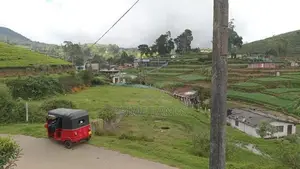 Green land for sale Nuwara Eliya