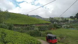 Land for sale Nuwara Eliya