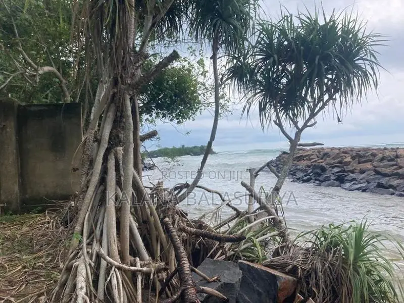 Beach Front Land for Sale Matara