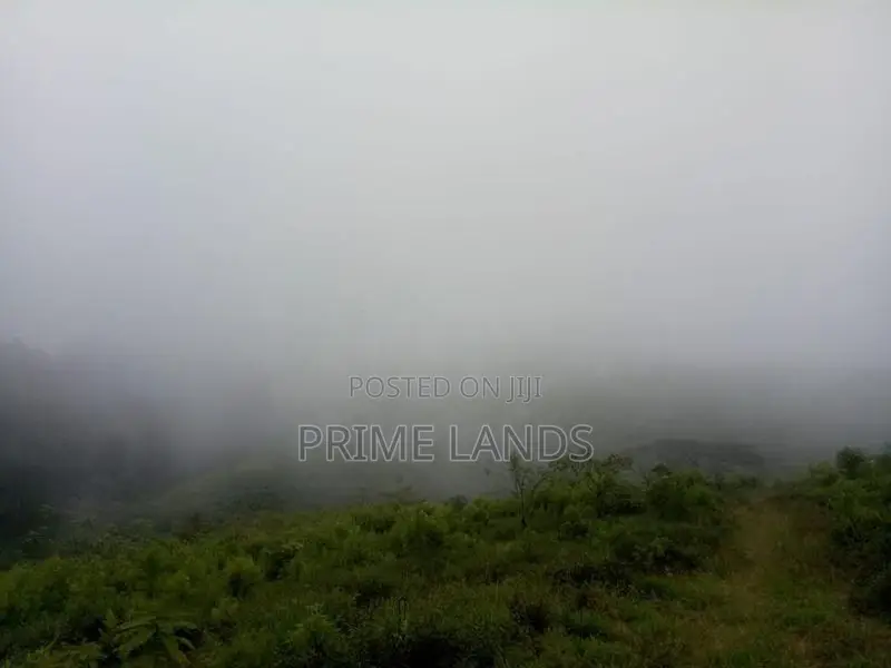 Nuwaraeliya road Chariot Path
