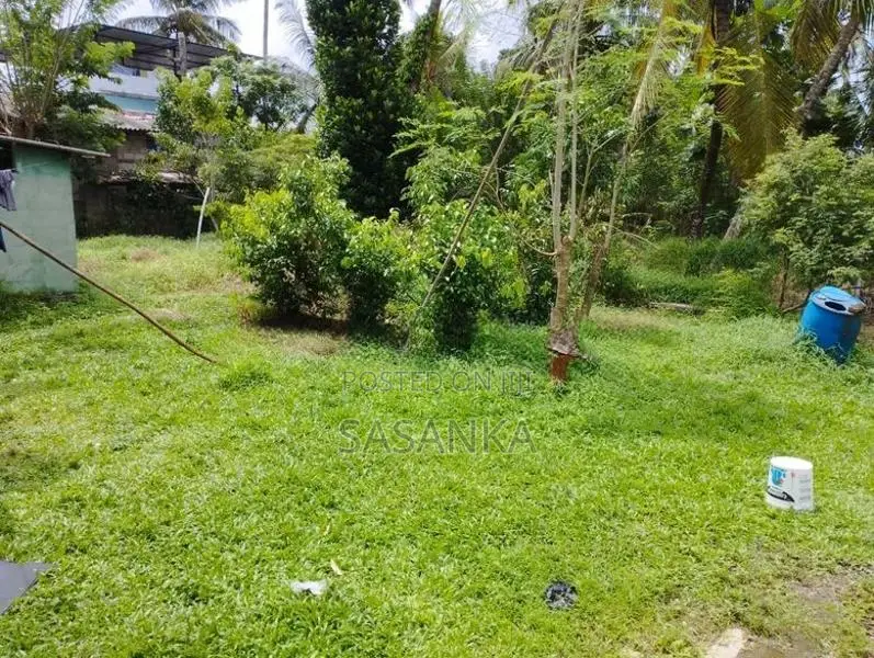 Kottawa Makubura 25 Perches Land Available For Lease