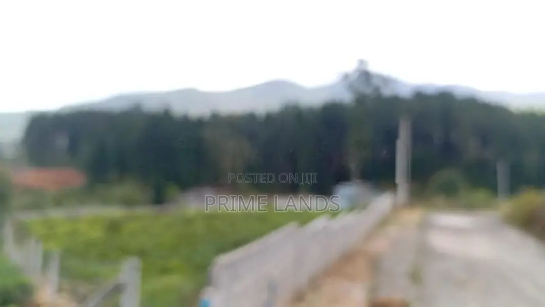 Chariot Path road wedamulla nuwaraeliya