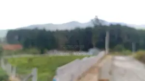 Chariot Path road wedamulla nuwaraeliya