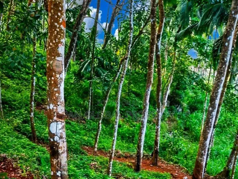 Estate for Sale in Kegalle