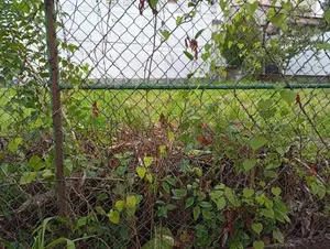 Mount Lavinia Temples Road 26 Perches Land For Sale