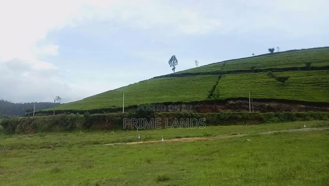Nuwaraeliya land for sale Deram