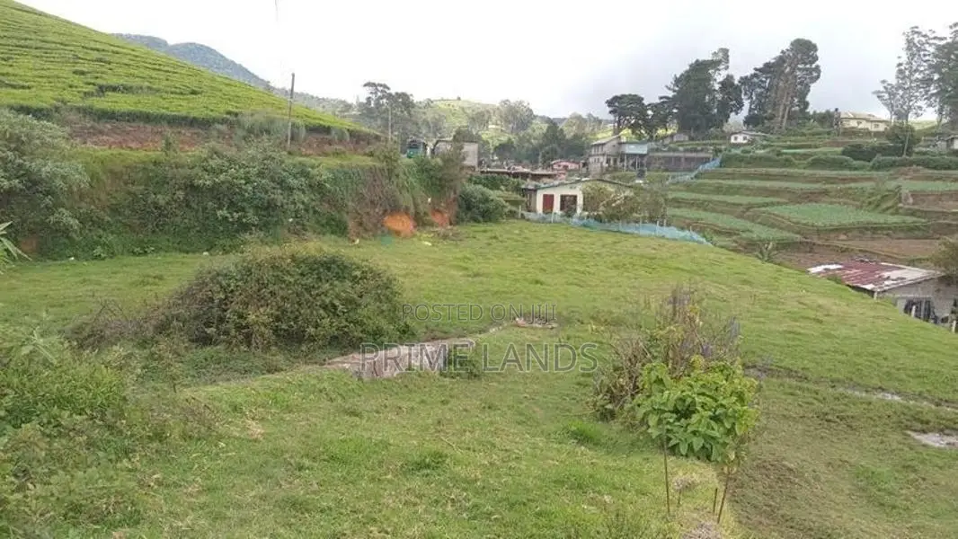 Land for sale Nuwara Eliya