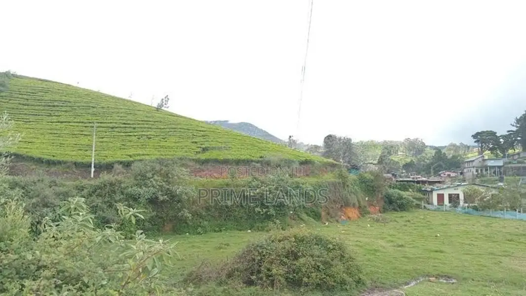 Land for sale Nuwara Eliya Road