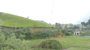 Land for sale Nuwara Eliya Road