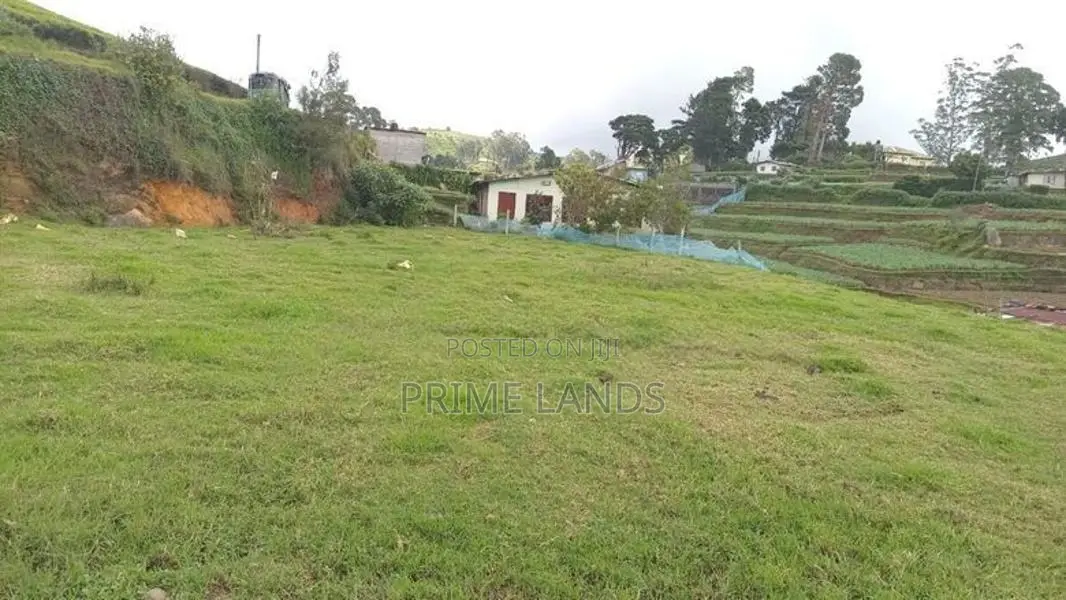 Nuwaraeliya road