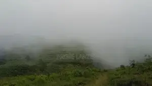 Nuwaraeliya road Chariot Path