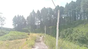 Ramboda falls road Nuwaraeliya