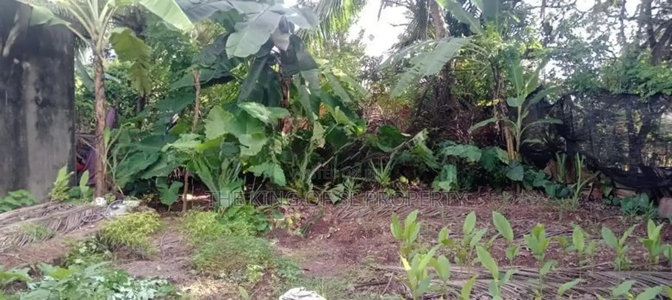 Land for sale in Pannipitiya