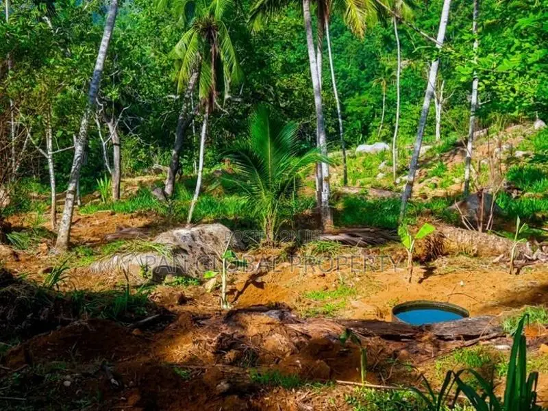 Estate for Sale in Kegalle