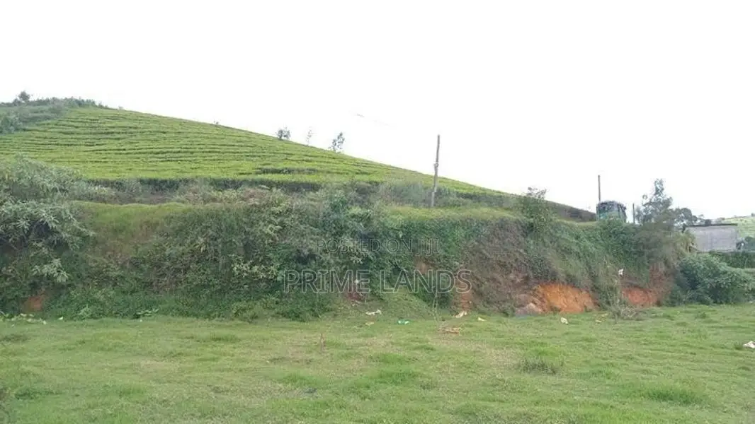 Land for sale Nuwara Eliya