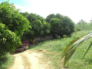 Coconut Land For Sale In Wanathavilluwa