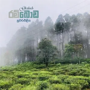 Chariot Path road wedamulla nuwaraeliya
