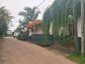 Luxury House for Sale Watareka. (With furniture) (ID : WTRK001)