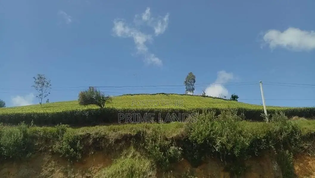 Land for sale Nuwara Eliya