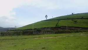 Land for sale Nuwara Eliya Road