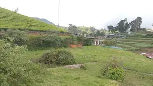 Valuable land for sale Nuwara Eliya