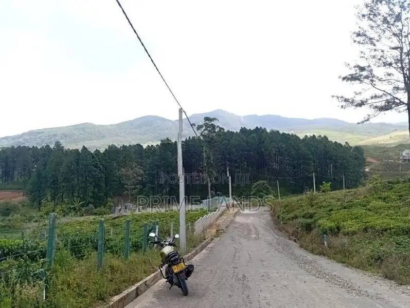 Nuwaraeliya road Chariot Path