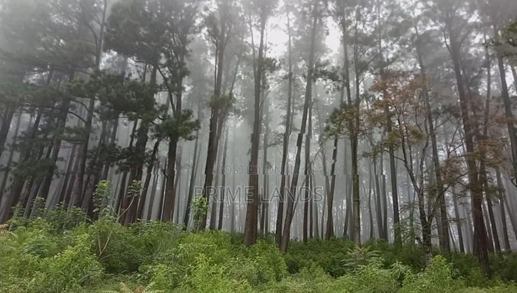 Ramboda falls road Nuwaraeliya