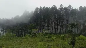 Ramboda falls road land for sale Nuwara Eliya