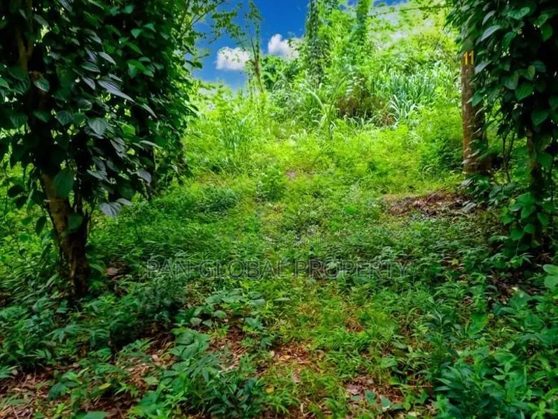 Estate for Sale in Kegalle