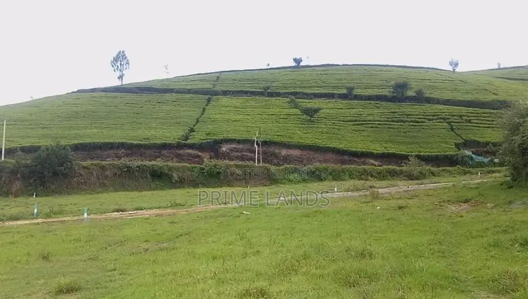 Nuwaraeliya land for sale Deram