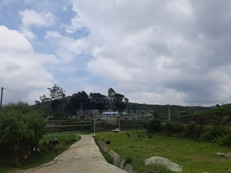 Land for sale Nuwara Eliya