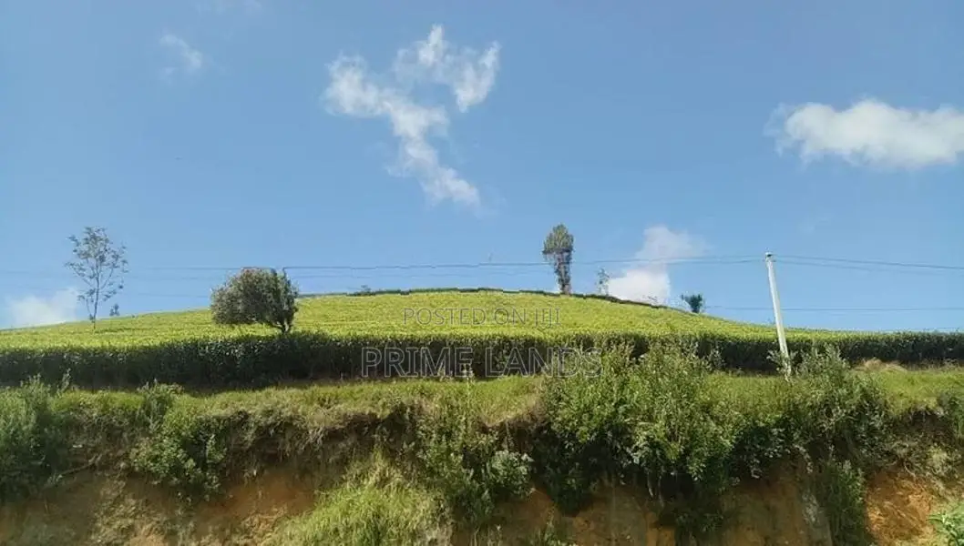 Land for sale Nuwara Eliya Road