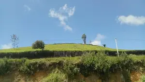 Land for sale Nuwara Eliya Road