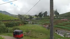 Nuwaraeliya road