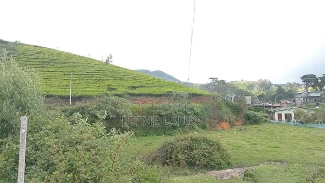 Valuable land for sale Nuwara Eliya