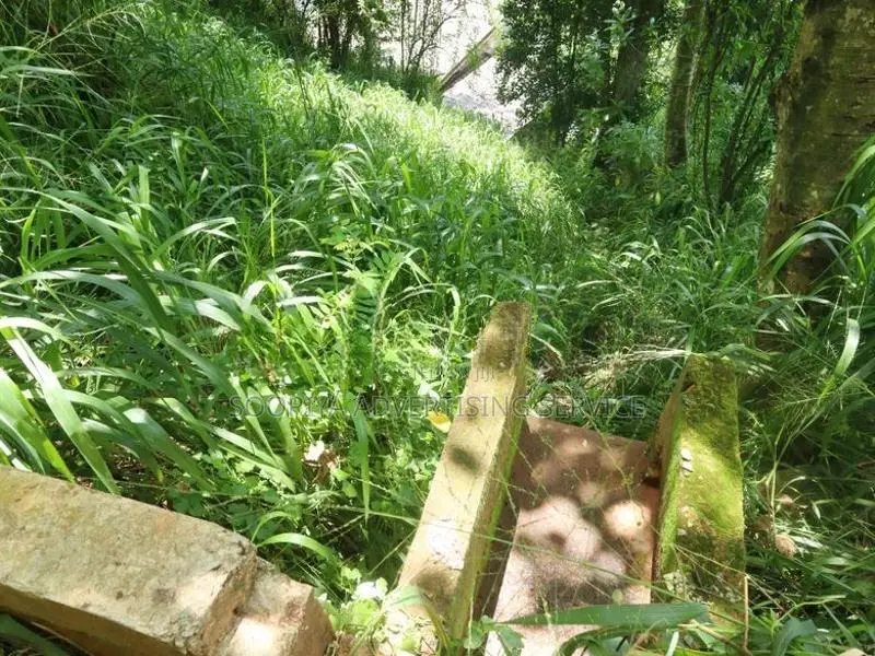 Land for Sale in Kandy
