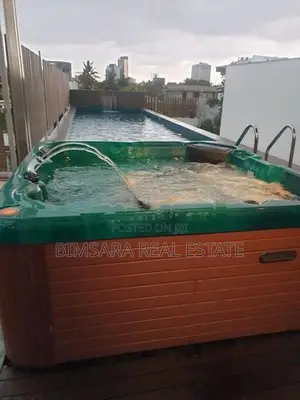 LUXURY HOUSE WITH A ROOF TOP SWIMMING POOL FOR LEASE IN COL 8 | LH0323