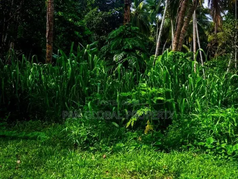 Estate for Sale in Kegalle