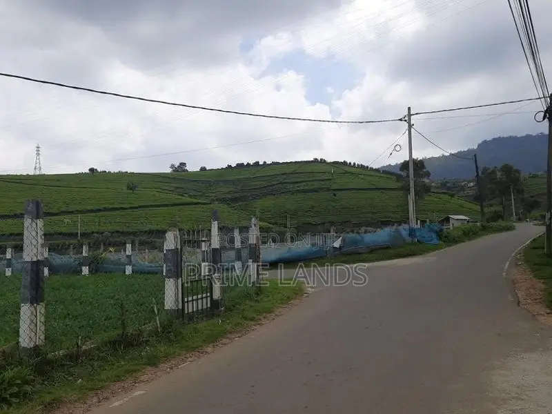 Valuable land for sale Nuwara Eliya