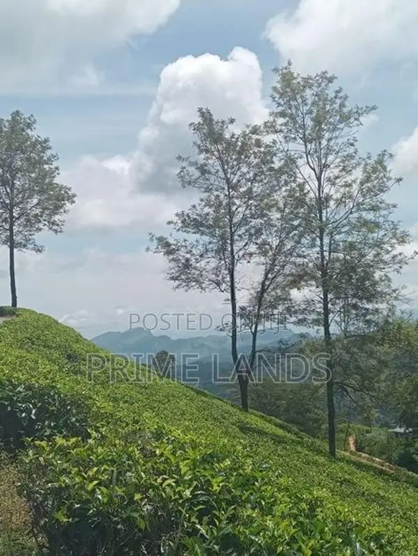 Ramboda falls road Nuwaraeliya