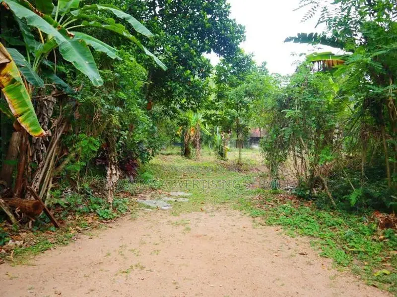 Commercial Land with House for Sale in Baduragoda