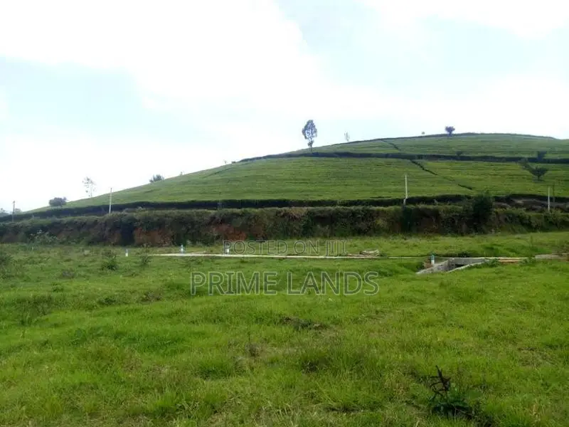 Land for sale Nuwara Eliya Road
