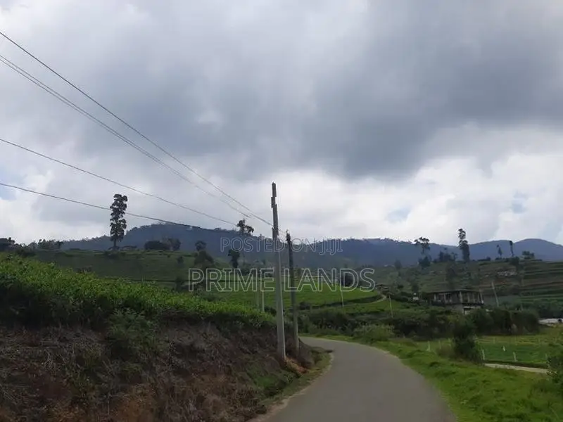 Nuwaraeliya road