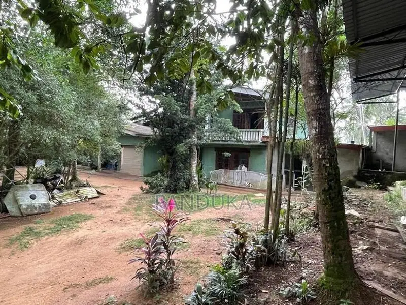 4 Acre land for sale in Padukka - Watareka