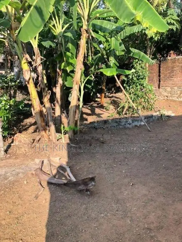 Land for sale in Ragama