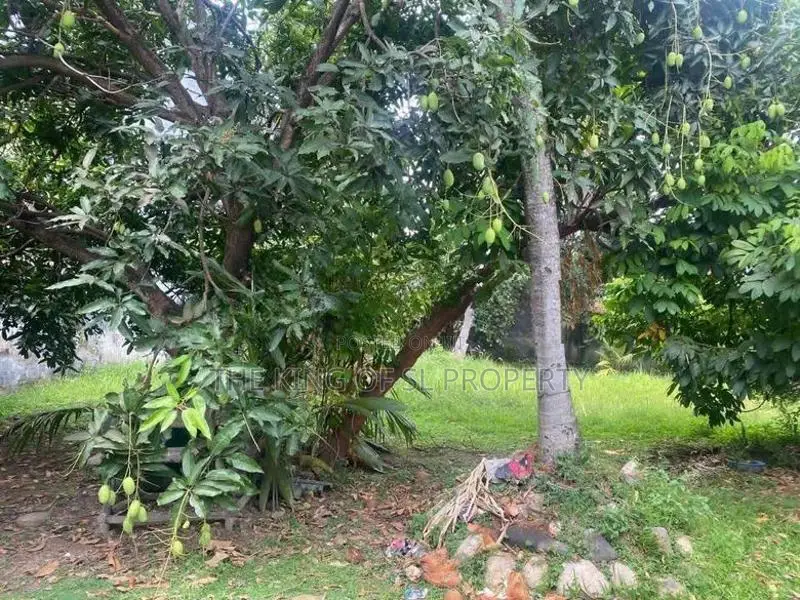 House for sale in Dehiwala (Nedimala )