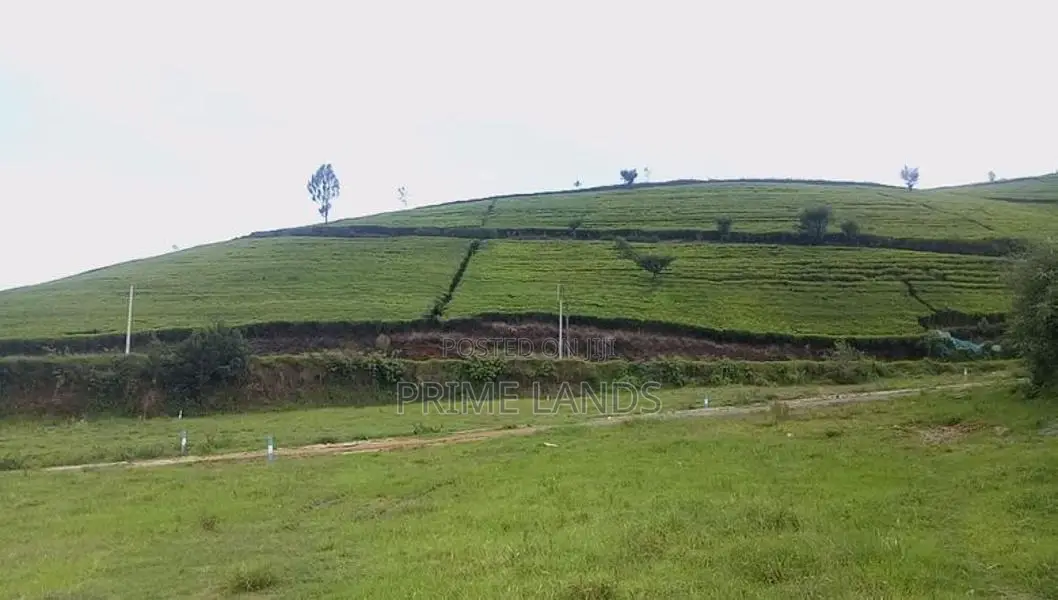 Land for sale Nuwara Eliya