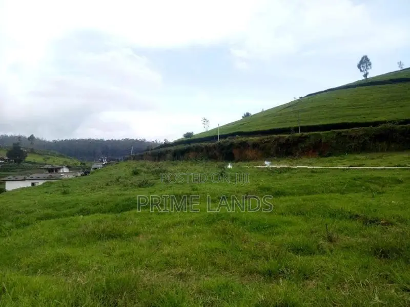Land for sale Nuwara Eliya Road