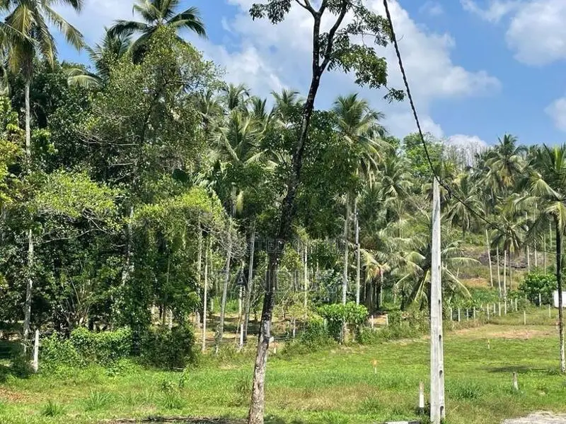 4 Acre land for sale in Padukka - Watareka