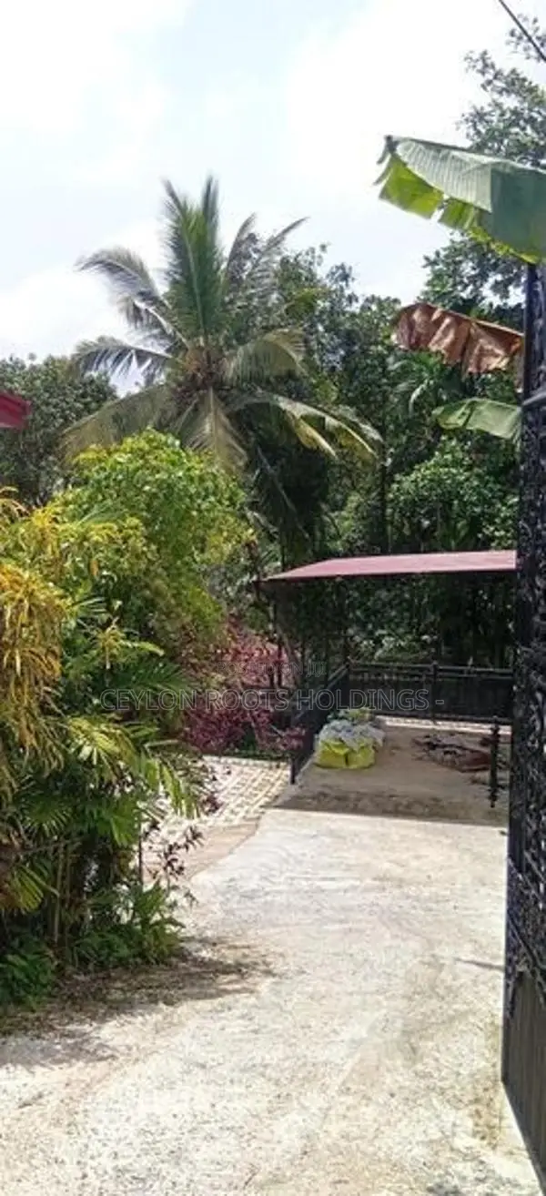 Beautifully Newly Renovated House for Rent,Can be used as Home or Offi